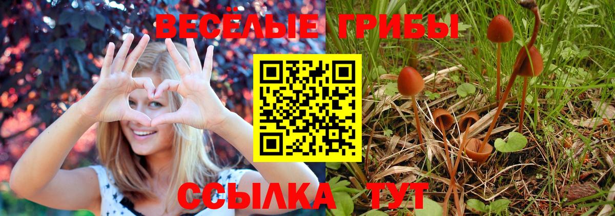 Галлюциногенные грибы Psilocybe Бахчисарай